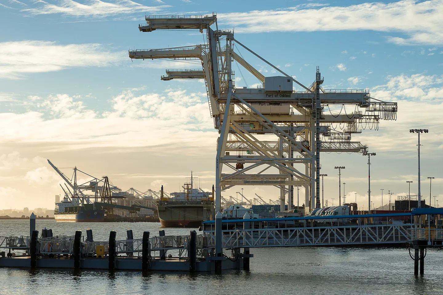 Commercial container ship and gantry cranes operating in daylight at an export terminal